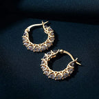 Lavis Band Earrings